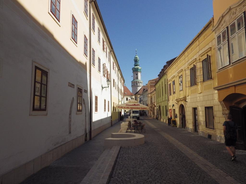 Belvarosi Erdesz-Lak Sopron Dış mekan fotoğraf